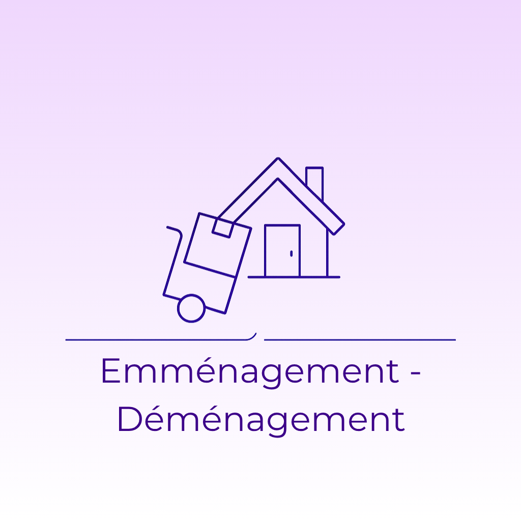 grand nettoyage (33)